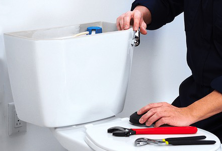 Toilet Repair